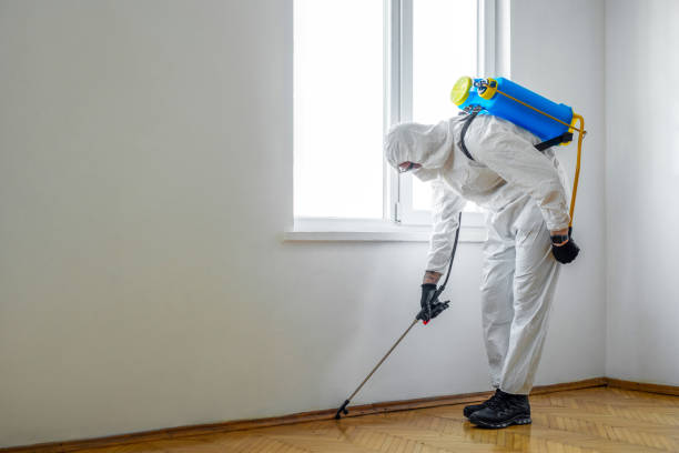 Best Pest Exclusion Services  in Galliano, LA